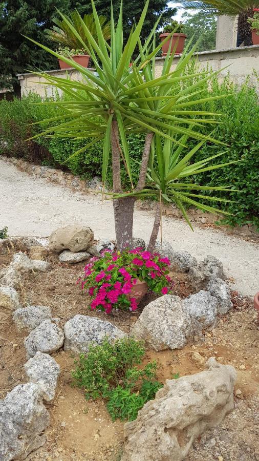 Casa Vacanze Villa Tropia Camastra Dış mekan fotoğraf