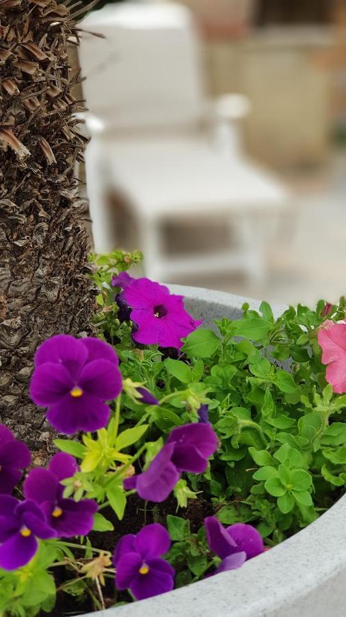 Casa Vacanze Villa Tropia Camastra Dış mekan fotoğraf